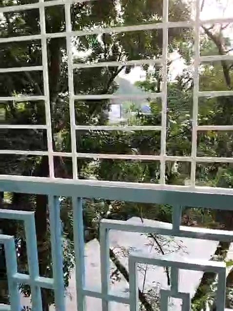 White window grill looking onto trees and a balcony rail